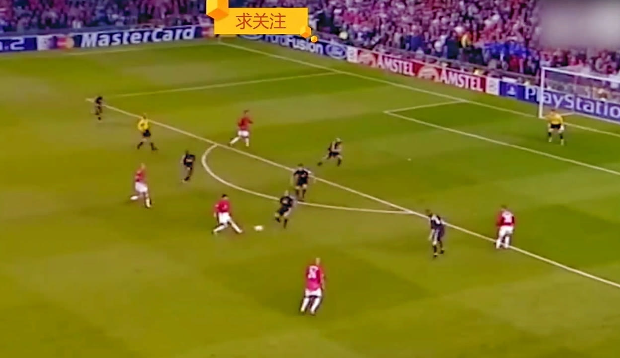 国家级教练 国家级教练